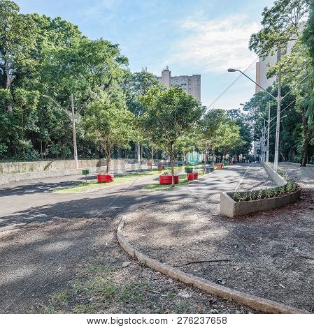 Square Surrounded By Tall Trees, Some Benches To Seat On Downtown Of Londrina City. Bosque Marechal 