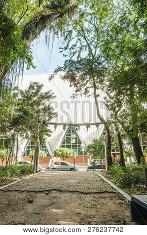 Londrina - Pr, Brazil - December 12, 2018: View Through The Trees Of Bosque Marechal Candido Rondon 