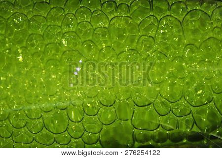 Champagne Bubbles Close Up. Bubbles in a Green Bottle.