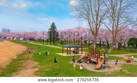 Iwate , Japan - April 22 2018: Kitakami Tenshochi Park Located By The Kitakami River, Renowned As On