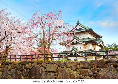 Hirosaki, Japan - April 23 2018: Sakura - Cherry Blossom Full Bloom At Hirosaki Castle In Hirosaki P