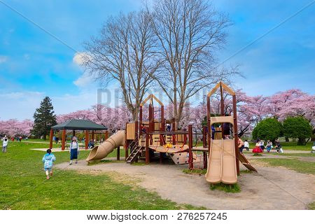 Iwate , Japan - April 22 2018: Kitakami Tenshochi Park Located By The Kitakami River, Renowned As On