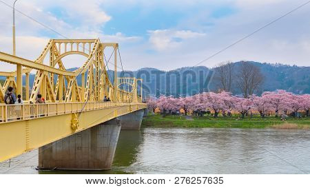 Iwate , Japan - April 22 2018: Kitakami Tenshochi Park Located By The Kitakami River, Renowned As On
