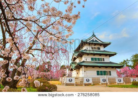 Hirosaki, Japan - April 23 2018: Sakura - Cherry Blossom Full Bloom At Hirosaki Castle In Hirosaki P