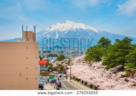Hirosaki, Japan - April 23 2018: Hirosaki Municipal Hall Is One Of The Best Spot Viewing Cherry Blos