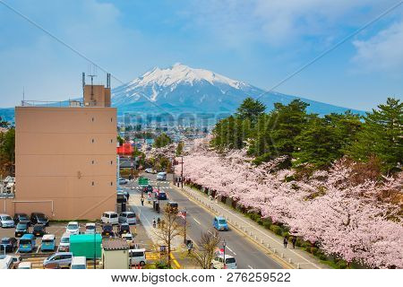 Hirosaki, Japan - April 23 2018: Hirosaki Municipal Hall Is One Of The Best Spot Viewing Cherry Blos