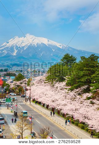 Hirosaki, Japan - April 23 2018: View From Hirosaki Municipal Hall, One Of The Best Spot Viewing Che