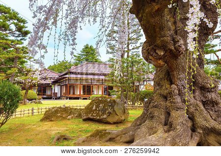 Hirosaki, Japan - April 23 2018: The Fujita Memorial Japanese Garden Built In 1919 In Japanese Tradi