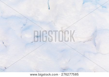 Snow And Ice Crystal Background Or Texture Of Russian Park Of Forest. The White Snow Surface Of The 