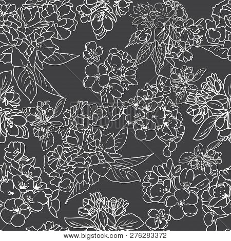 Vector Hand Drawn Seamless Pattern  Line Art Of Cherry Blossom Flowers And Branch. Сherry Blossom Ou