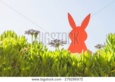 Creative Easter Concept Photo Of Red Paper Rabbit In The Chamomile Flowers And Green Grass On The Bl