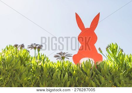 Creative Easter Concept Photo Of Red Paper Rabbit In The Chamomile Flowers And Green Grass On The Bl