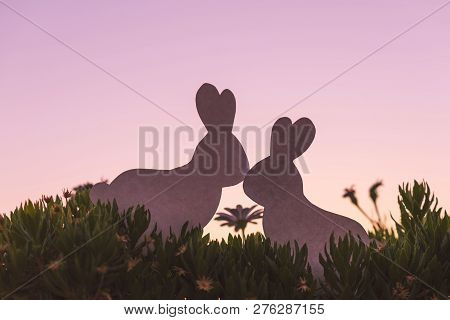 Creative  Photo Of Two Silhouette Paper Rabbits In The Chamomile Flowers And Green Grass On The Suns
