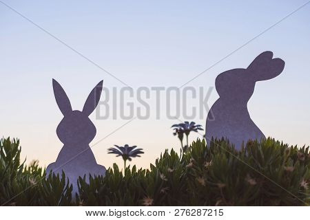 Creative  Photo Of Two Silhouette Paper Rabbits In The Chamomile Flowers And Green Grass On The Suns