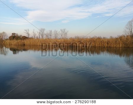 Park Of Mincio Rivalta Sul Mincio Mantua Lombardy Italy