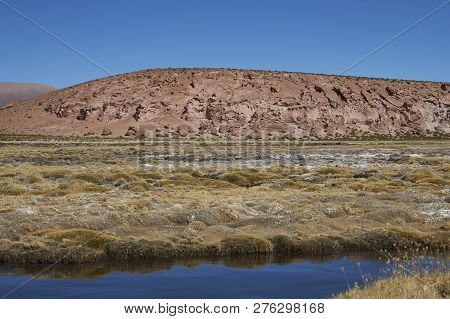 Wetland Along A Tributary Of The River Lauca High On The Altiplano Of Northern Chile In Lauca Nation