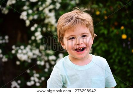 Children Emotions. Portrait Of Cheerful Toddler On Green Background. Young Blond Boy Shows Sincere H