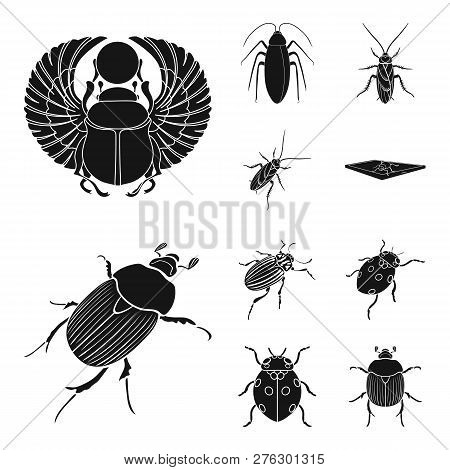 Vector Design Of Insect And Beetle Icon. Collection Of Insect And Halloween Vector Icon For Stock.