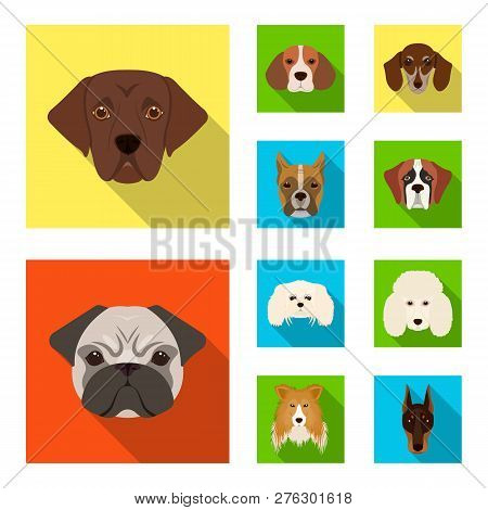 Vector Illustration Of Cute And Puppy Symbol. Set Of Cute And Animal Vector Icon For Stock.