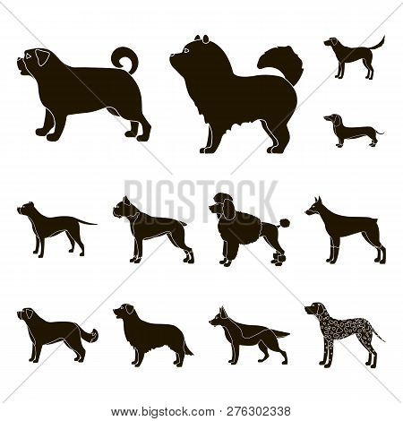 Vector Design Of Cute And Puppy Symbol. Set Of Cute And Animal Stock Vector Illustration.