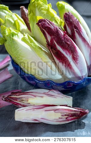 Group Of Fresh Green Belgian Endive Or Chicory And Red Radicchio Vegetables, Also Known As Witlof Sa