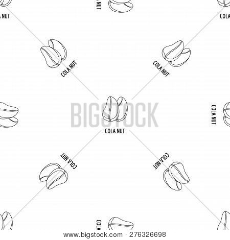 Cola Nut Icon. Outline Illustration Of Cola Nut Icon For Web Design Isolated On White Background
