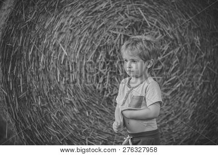 Agritourism, Eco Tourism, Vacation, Travelling. Agritourism Summer On Farm Harvest Season