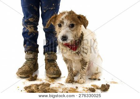 Dirty Dog And Child. Funny Jack Russell And Its Little Owner After Play In A Mud Puddle. Isolated Sh