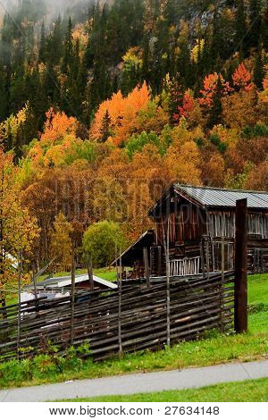 fall in the mountains