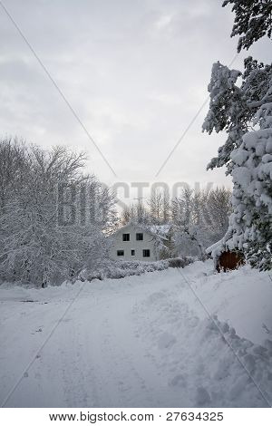 winter