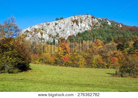 Colorful Slovakian Forest In Autumn (strazov Mountains, Slovakia)