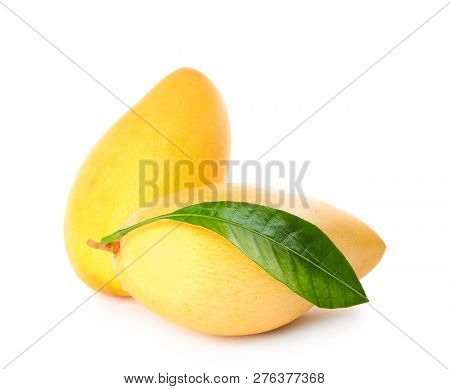 Fresh Ripe Mango Fruits Isolated On White