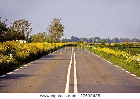 Countryroad เนเธอร์แลนด์ใน springtime