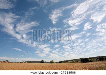 Wheatfield and a beautiful cloudshape in Portugal