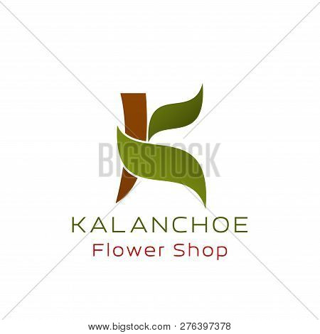 K Letter Icon For Flower Shop Or Plant Store. Vector Isolated Letter Of Kalanchoe Green Leaf And Spr