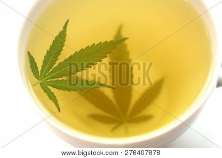 Cannabis Tea. Marijuana Tea. Hemp Tea with a Marijuana Leaf in a white Tea Cup. Isolated on white. Room for text. 