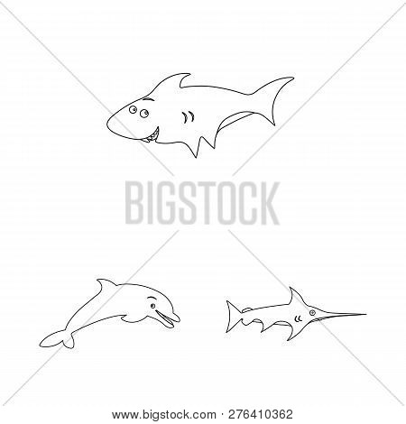 Vector Illustration Of Sea And Animal Symbol. Set Of Sea And Marine Vector Icon For Stock.