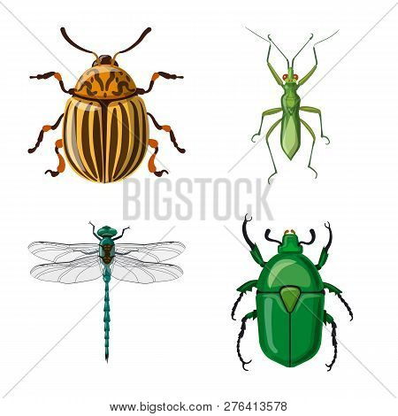 Vector Design Of Insect And Fly Icon. Collection Of Insect And Element Stock Symbol For Web.