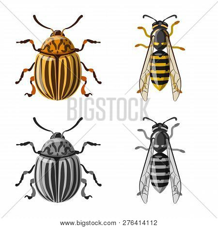 Vector Design Of Insect And Fly Icon. Set Of Insect And Element Vector Icon For Stock.