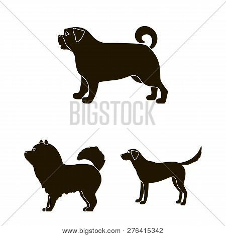 Vector Design Of Cute And Puppy Symbol. Collection Of Cute And Animal Stock Vector Illustration.
