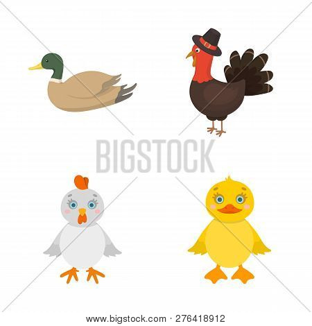 Vector Design Of Funny And Poultry Logo. Set Of Funny And Farming Stock Symbol For Web.