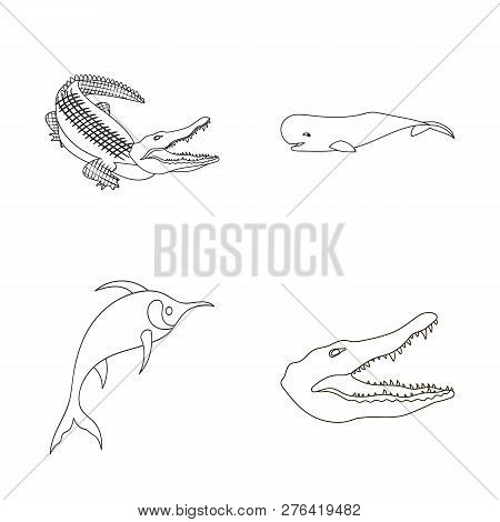 Vector Illustration Of Water And Drop Logo. Collection Of Water And Splash Vector Icon For Stock.