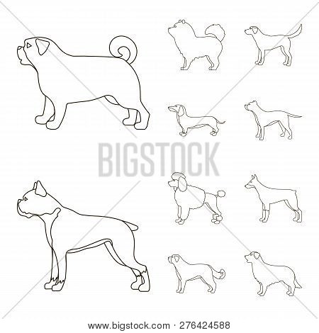 Vector Illustration Of Cute And Puppy Icon. Collection Of Cute And Animal Stock Vector Illustration.