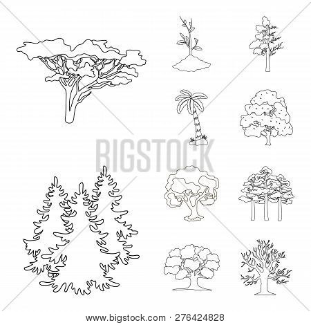 Vector Design Of Tree  And Forest Logo. Set Of Tree  And Green Stock Symbol For Web.