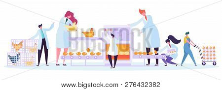 Chicken Poultry Production Factory Machine Set. Commercial Character Making Egg Machinery Packing Pr