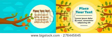 Tree Persimmon Banner Set. Flat Illustration Of Tree Persimmon Vector Banner Set For Web Design