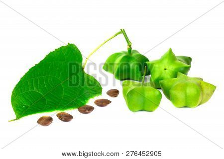 Sacha Inchi, Fresh Capsule Seeds Fruit Of Sacha-inchi Peanut