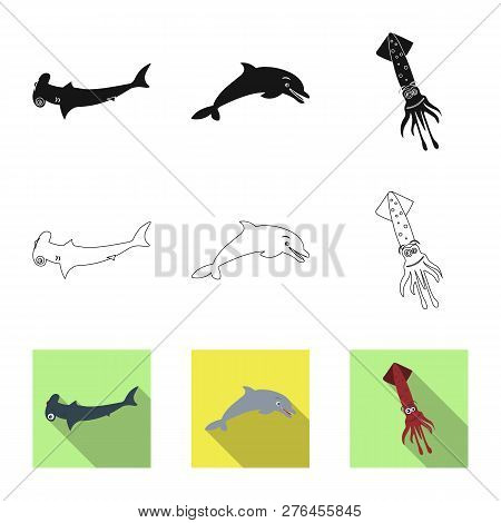 Vector Illustration Of Sea And Animal Symbol. Collection Of Sea And Marine Stock Vector Illustration