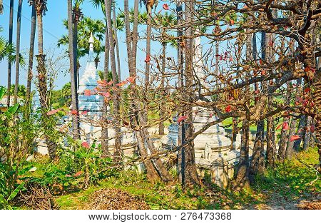 The White Stupas Of Medieval Bagaya Monastery Are Hidden In Thickets Of Tropic Garden With Tall Palm