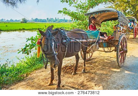 Ava, Myanmar - February 21, 2018: The Young Coachman Sits In His Wooden Cart And Offers The Tour Aro